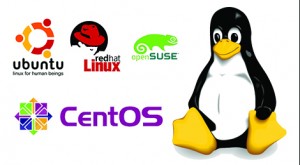 linux